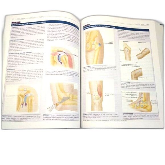 Primary Care A Collaborative Practice Book by JoAnn Trybulski Buttaro - Picture 3 of 16